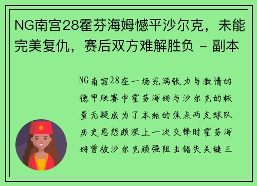 NG南宫28霍芬海姆憾平沙尔克，未能完美复仇，赛后双方难解胜负 - 副本